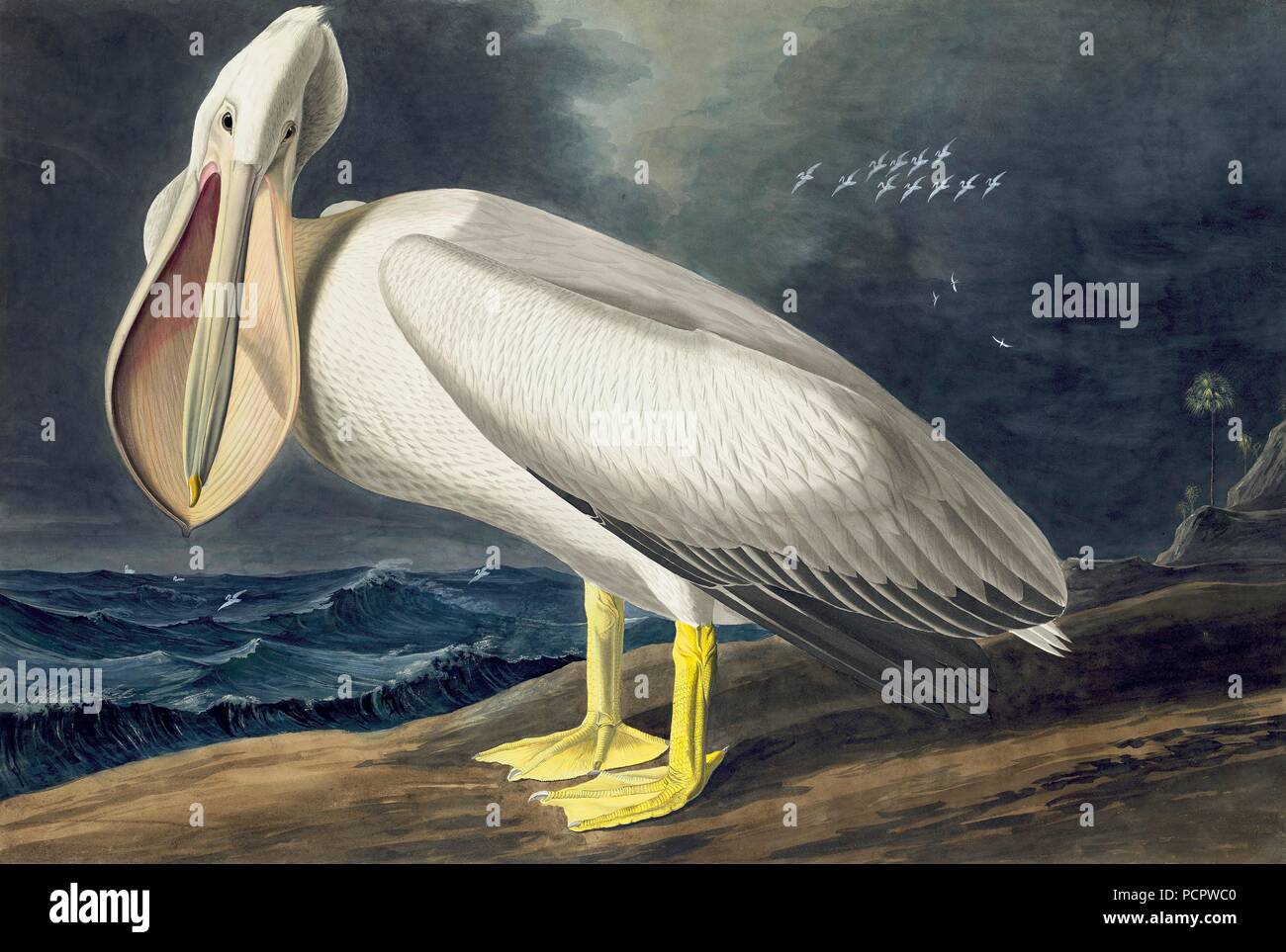 Пеликаны в картинах художников