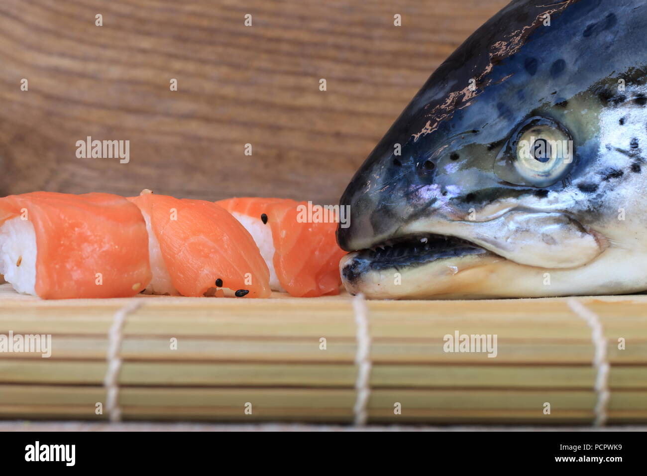 Sushi is a dish of Japanese origin based on rice that is usually accompanied with: sesame, salmon or trout, depending on the tastes it can be raw or s Stock Photo