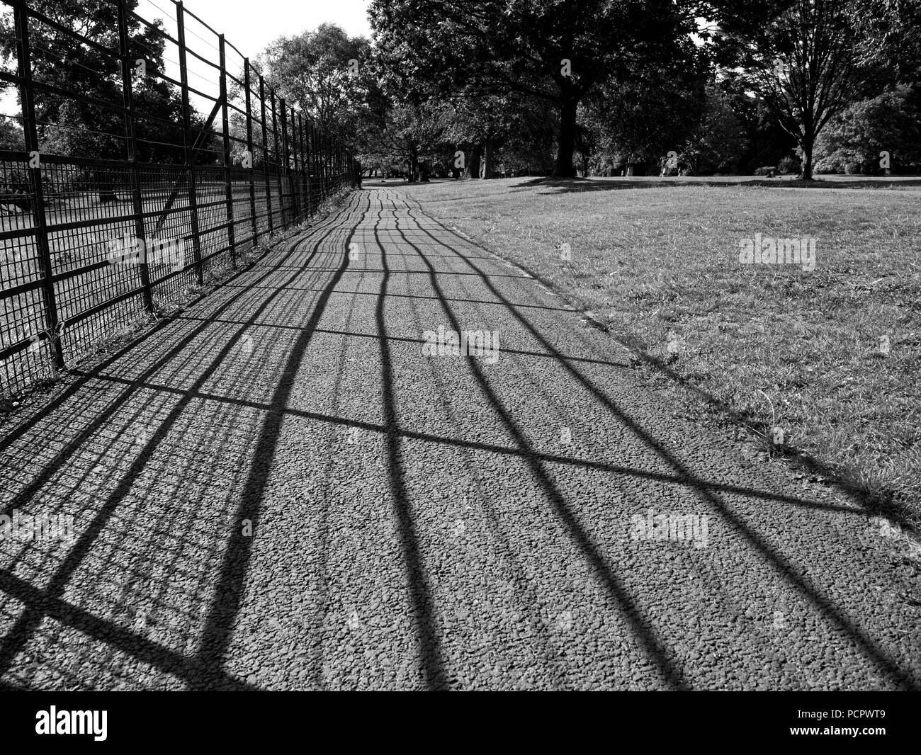 Black and white perspective view of long iron fence at a park. The fence cast shadow on a asphalted footpath. Stock Photo