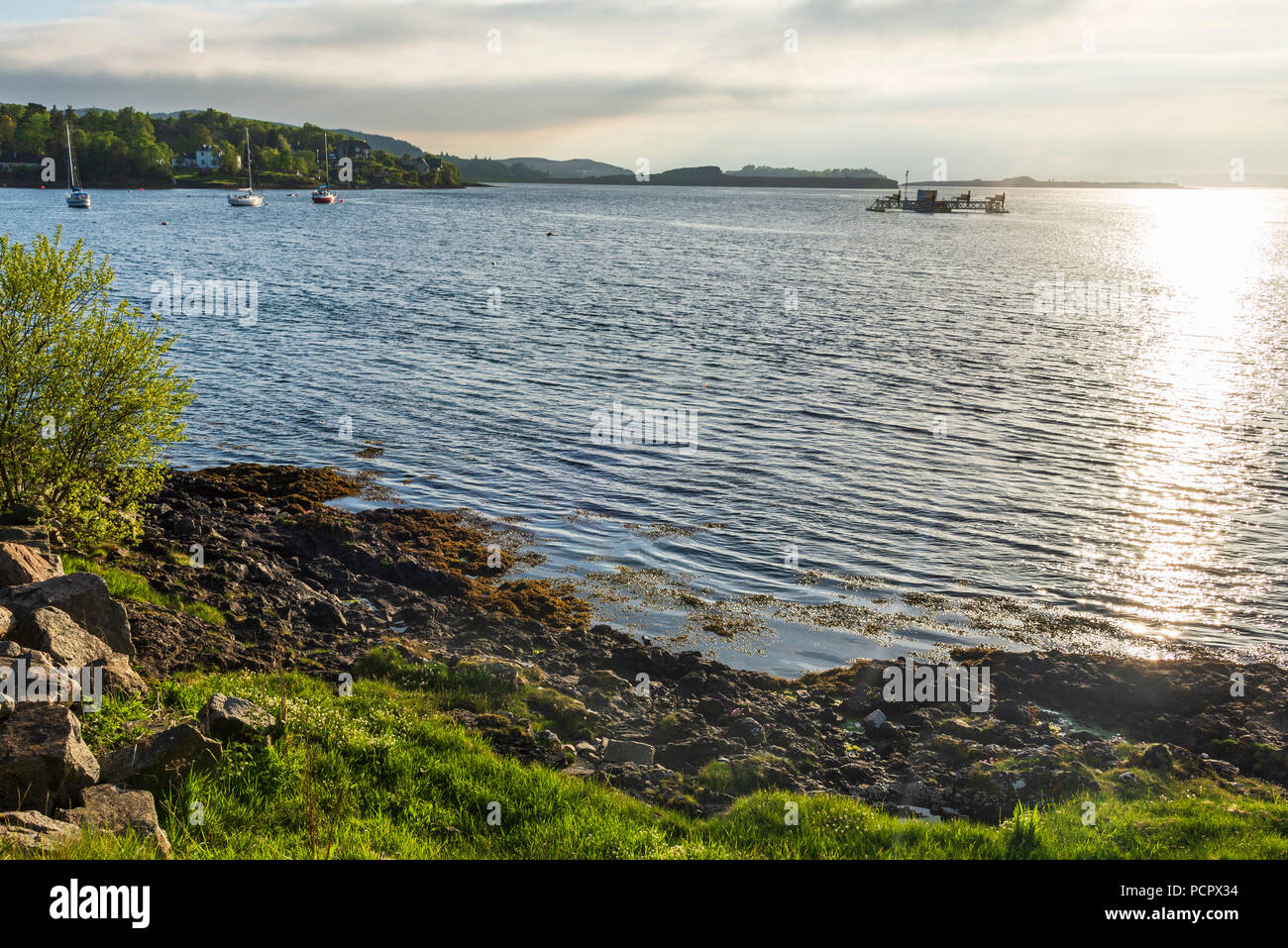 sunset over the Connel bridge and Lora waterfall Stock Photo