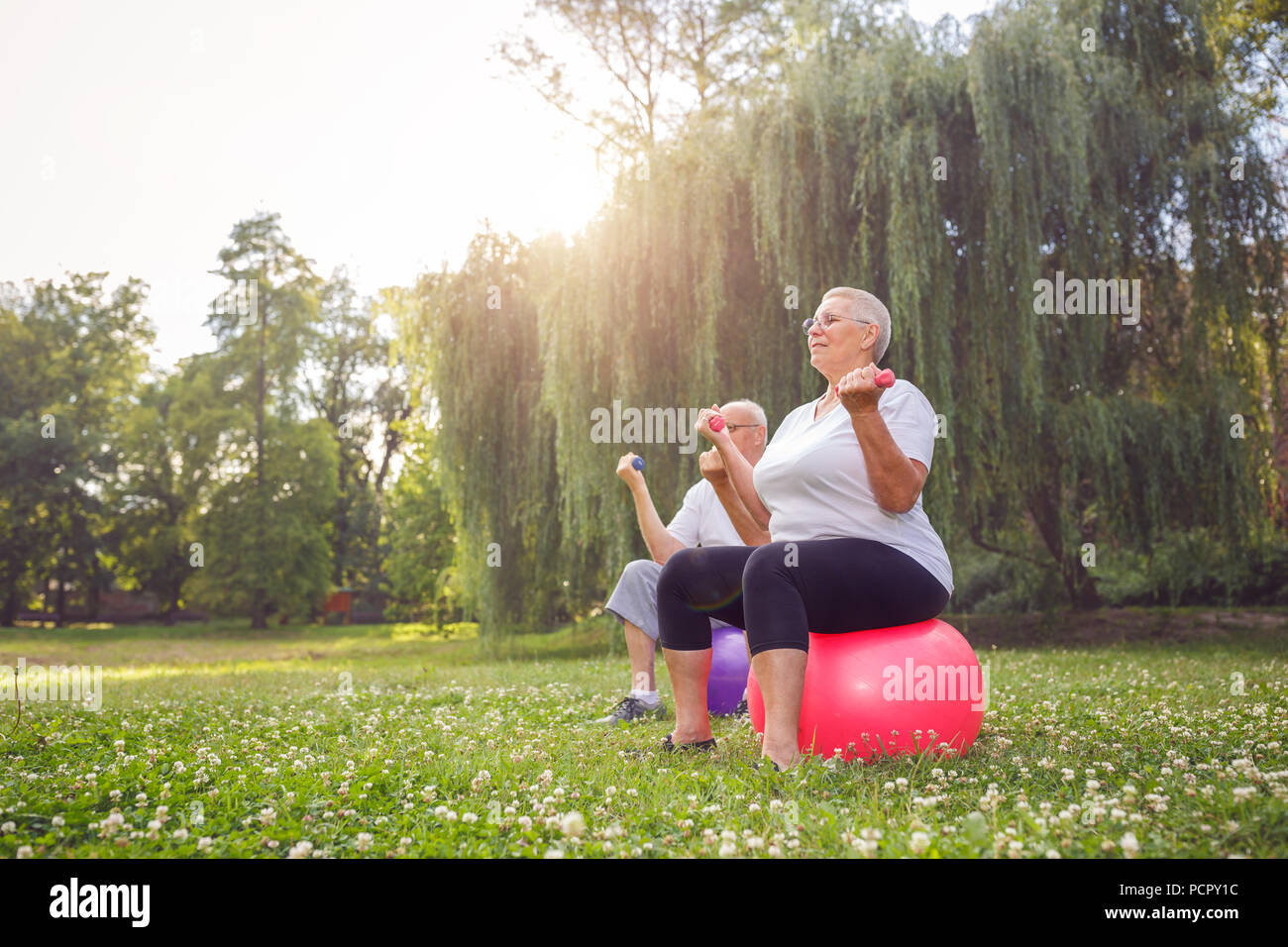 Happy pensioner couple exercise together on fitness ball in park Stock Photo