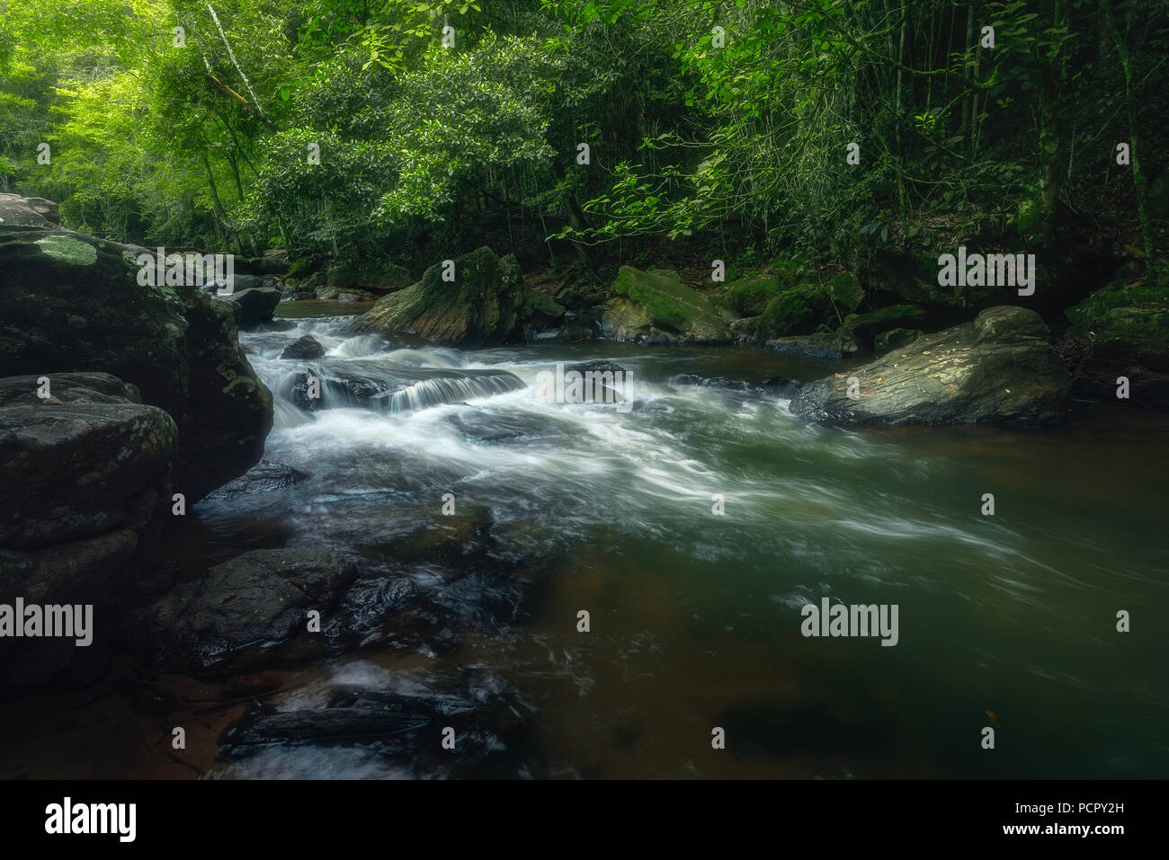 Csacade in Alfredo Chaves, Espirito Santo, Brazil. Inside the Brazilian Atlantic Forest. Stock Photo