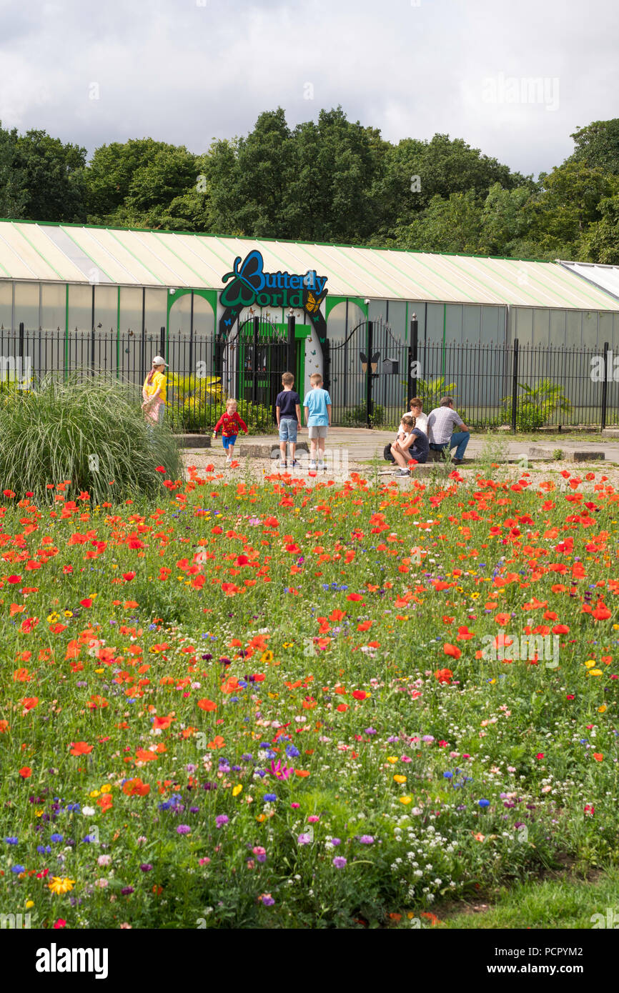 At preston park hires stock photography and images Alamy
