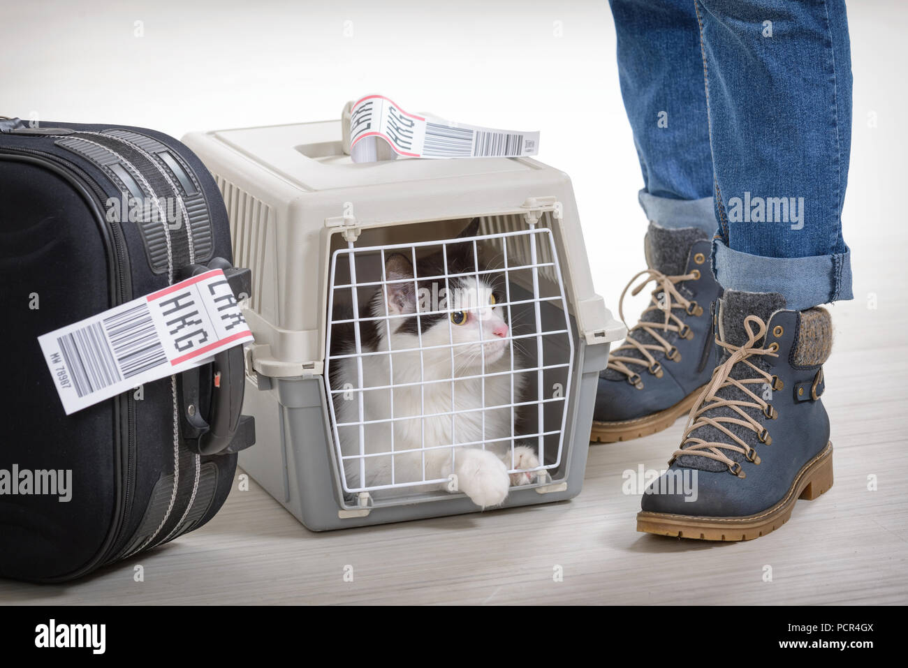 Airport pet carrier Clearance