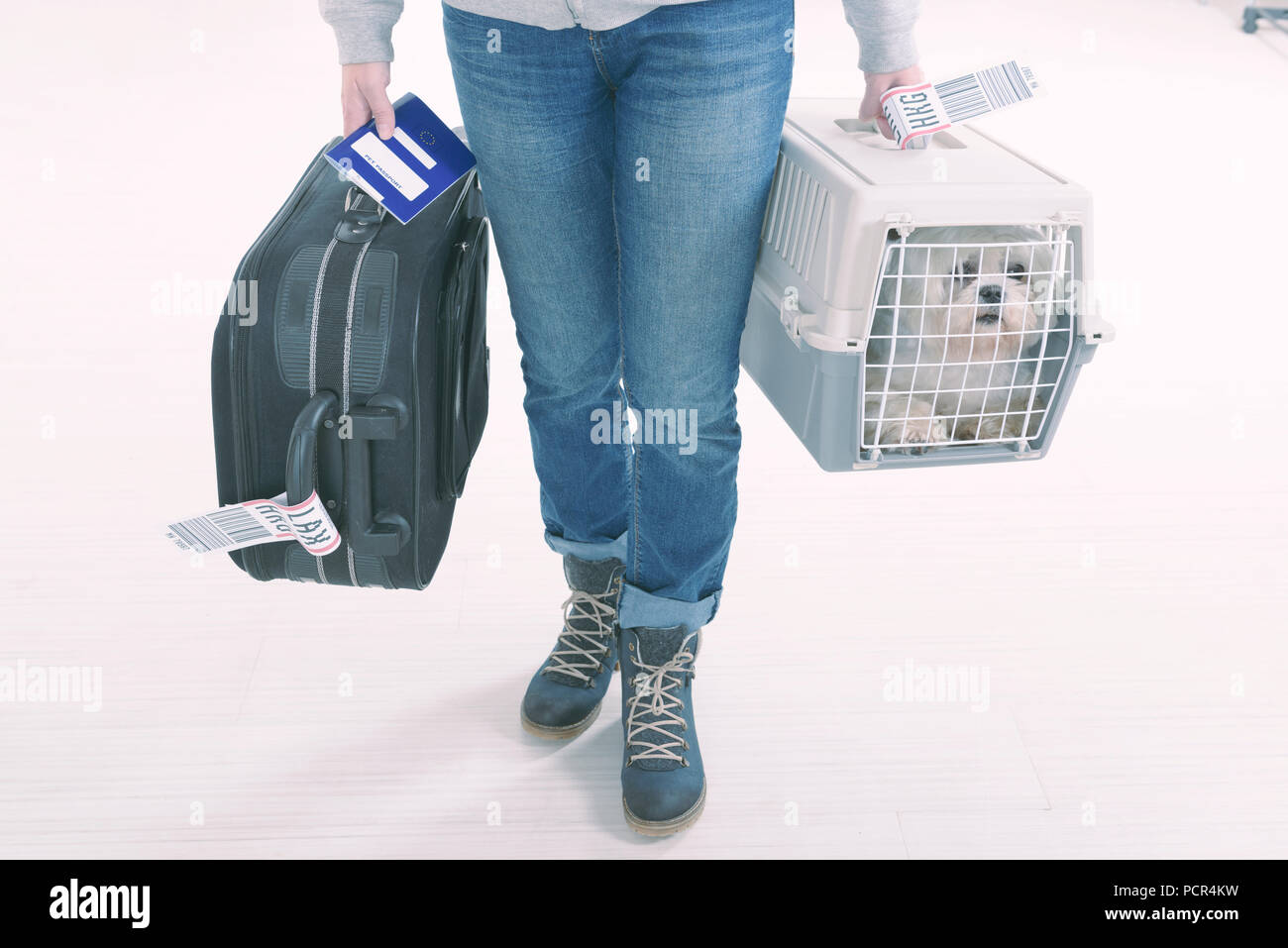 little dog in the airline cargo pet carrier at the airport after a long