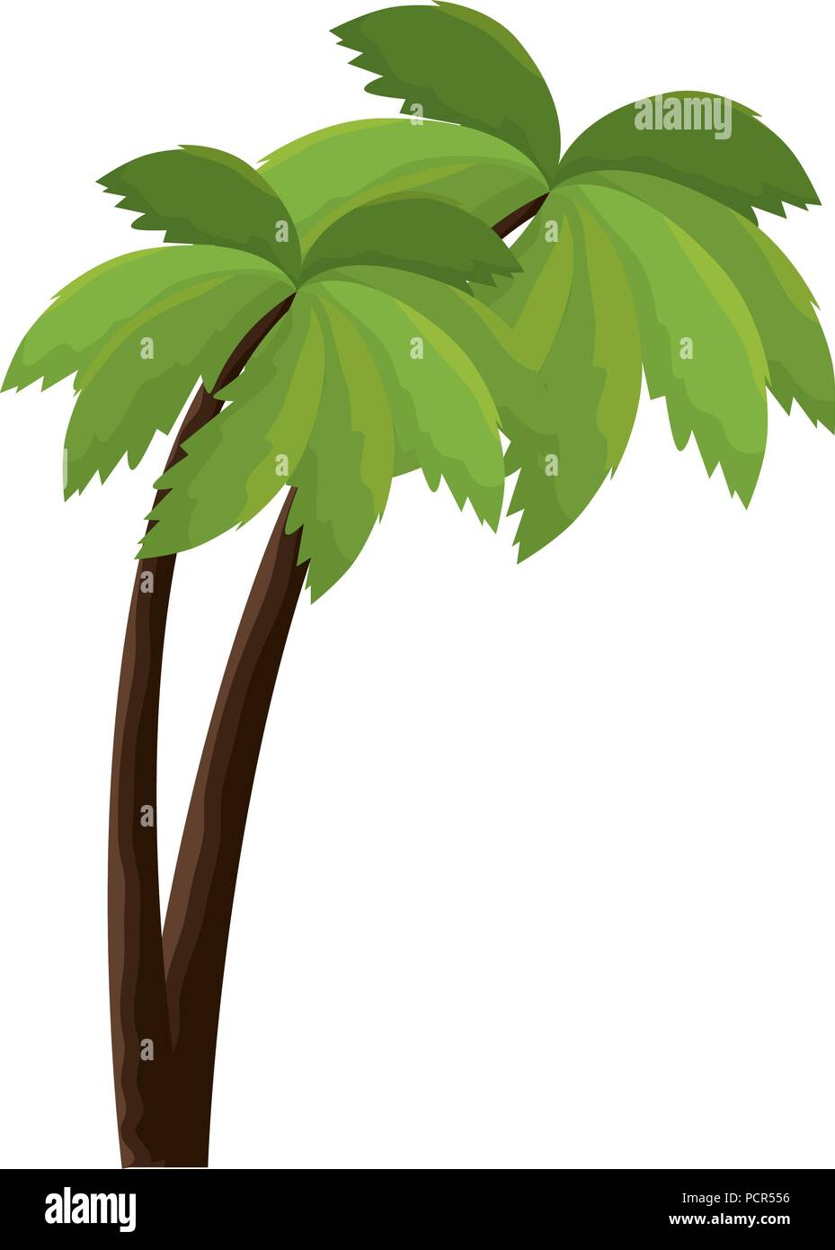 tree palms isolated icon Stock Vector Image & Art - Alamy