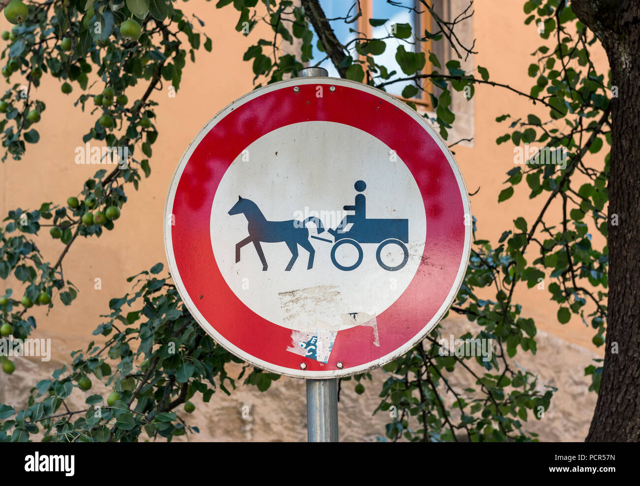 Horse Carts High Resolution Stock Photography and Images Alamy