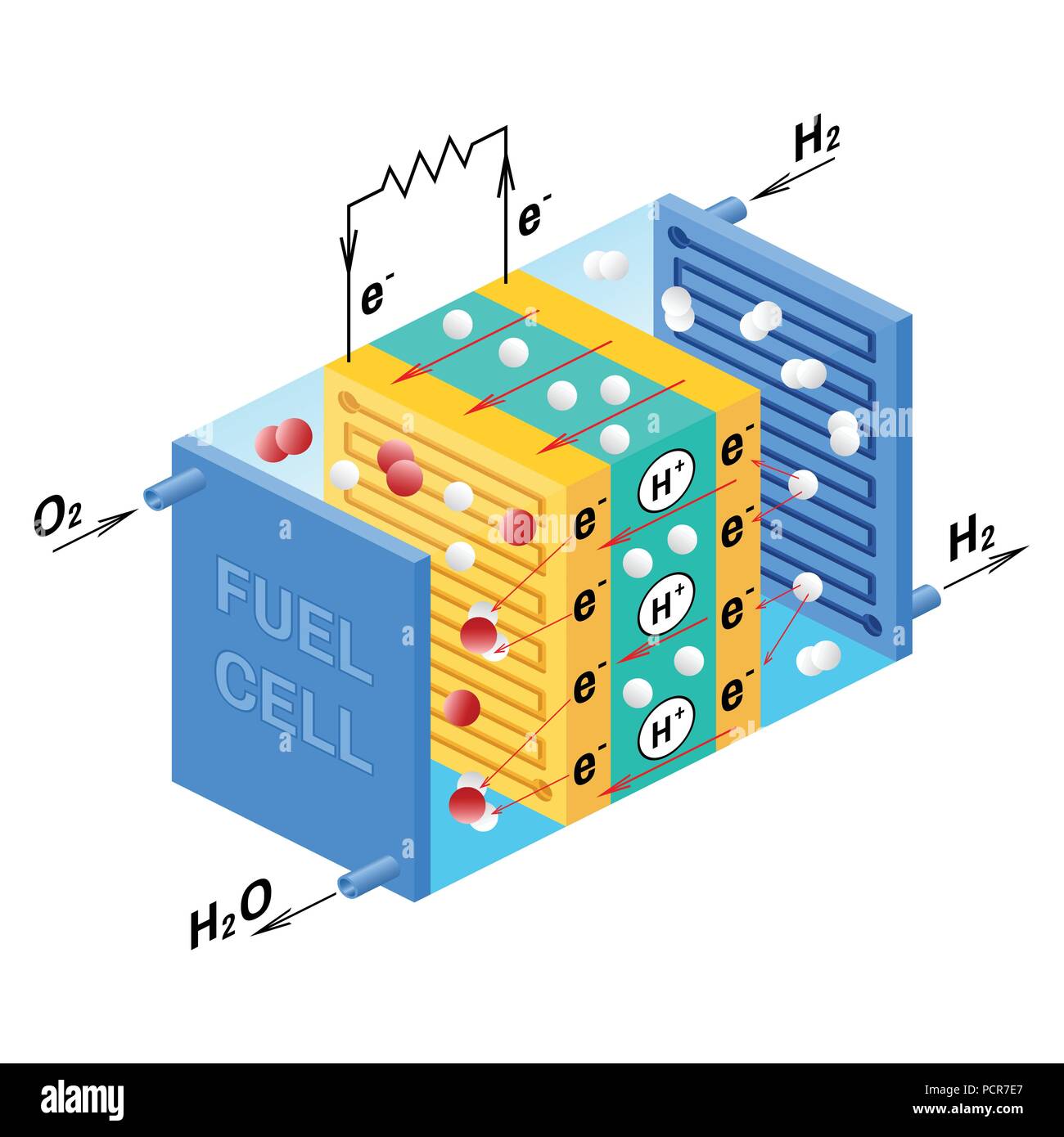 Fuel cell diagram. Vector. Device that converts chemical potential energy into electrical energy. A PEM, Proton Exchange Membrane cell uses hydrogen gas and oxygen gas as fuel. Stock Vector