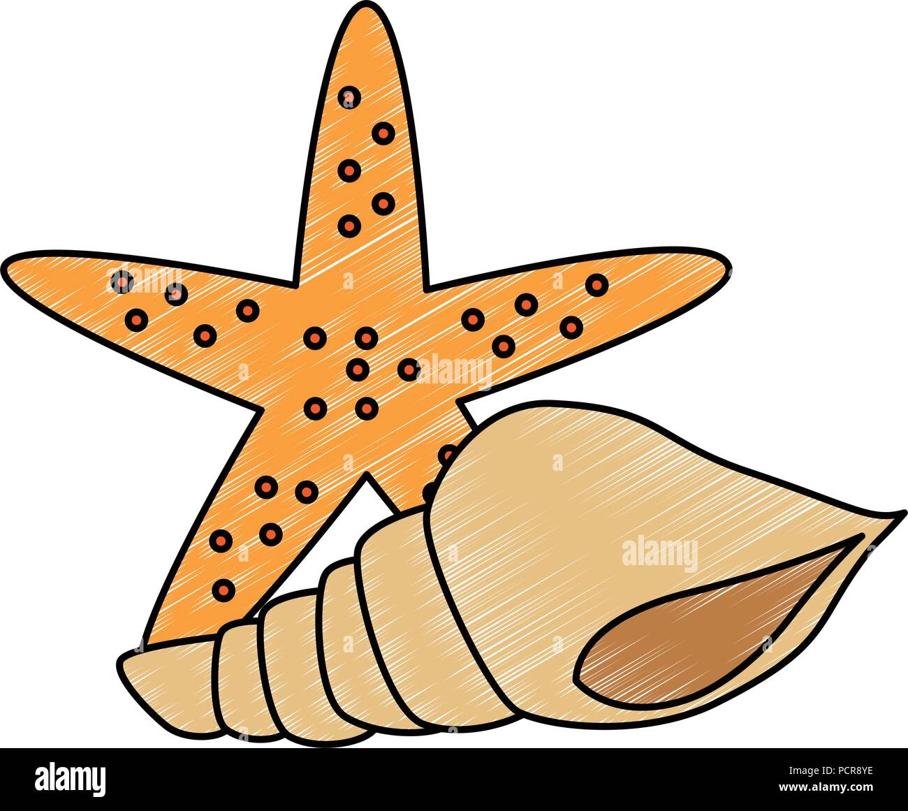 starfish with snail shell Stock Vector Image & Art - Alamy