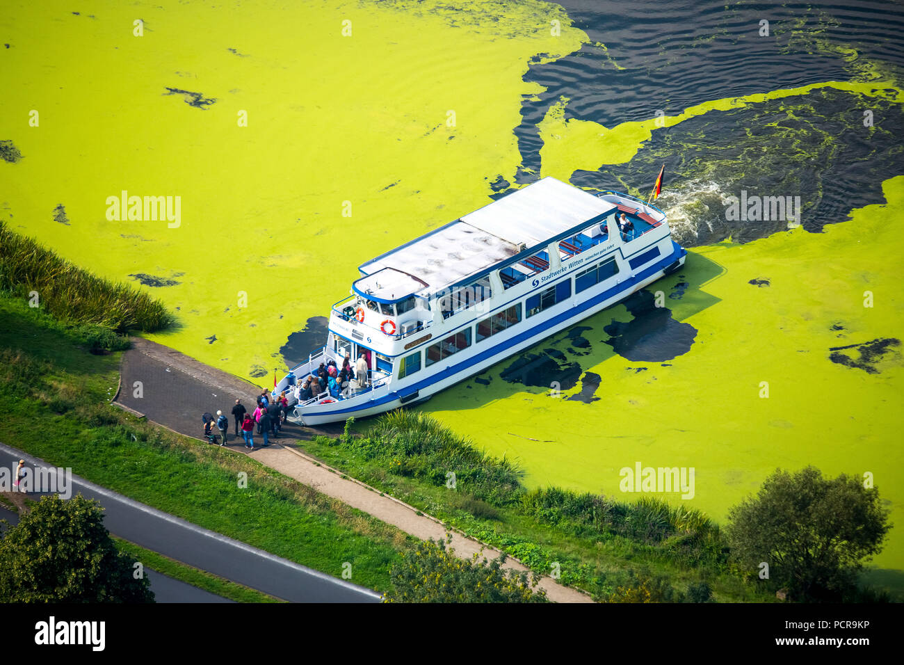 Waterweed, Elodea, the passenger ship Schwalbe II on the Witten side in Heveney at the Kemnader reservoir picking up passengers, Bochum, Ruhr area, North Rhine-Westphalia, Germany Stock Photo