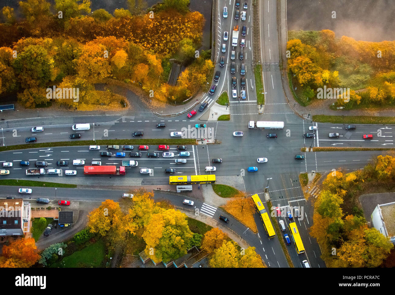 Marie-Jucharcz-Strasse and Konrad-Adenauer-Brücke, crossing at the Zornige Ameise, road intersection, yellow buses of the EVAG, autumn leaves, autumn mood, morning mood, Essen, Ruhr area, North Rhine-Westphalia, Germany Stock Photo
