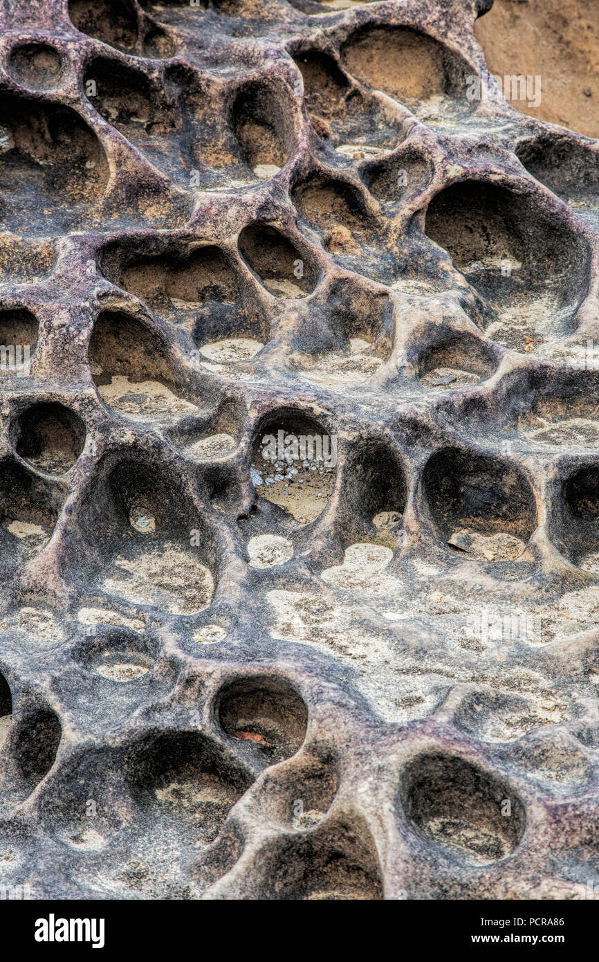Honeycomb weathering patterns in the limestone within the Yehliu Geological Park known to geologists as the Yehliu Promontory, forms part of the Dalia Stock Photo