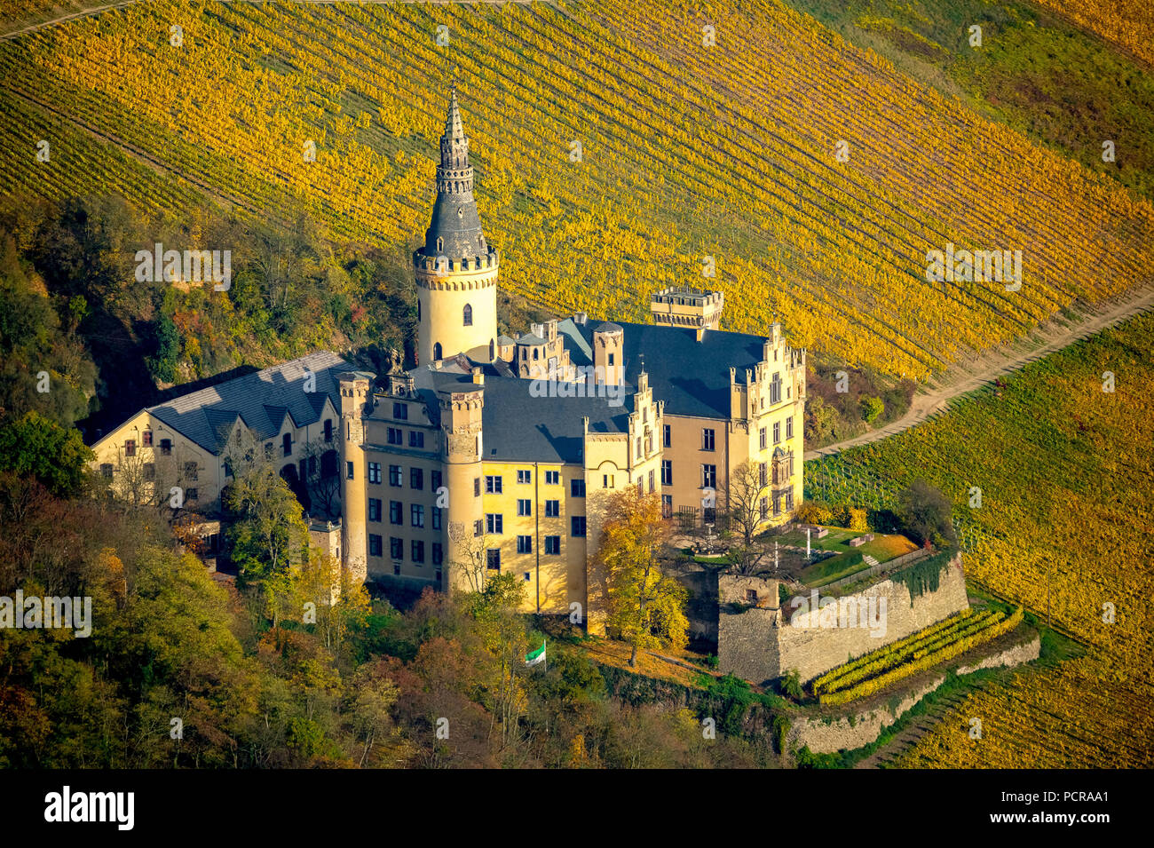 Vineyards in autumn, vine leaves, Spätlese, Schloss Arensfels, owned by Baron Antonius Geyr von Schweppenburg, Bad Breisig, Neuwied district, Rhineland-Palatinate, Germany Stock Photo