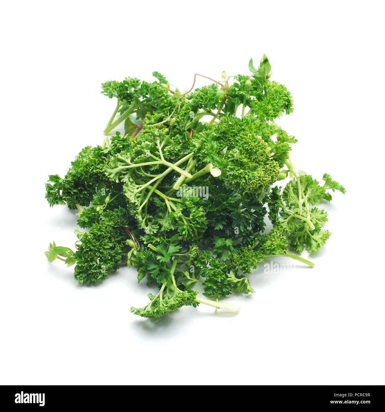 parsley leaves isolated on white Stock Photo Alamy