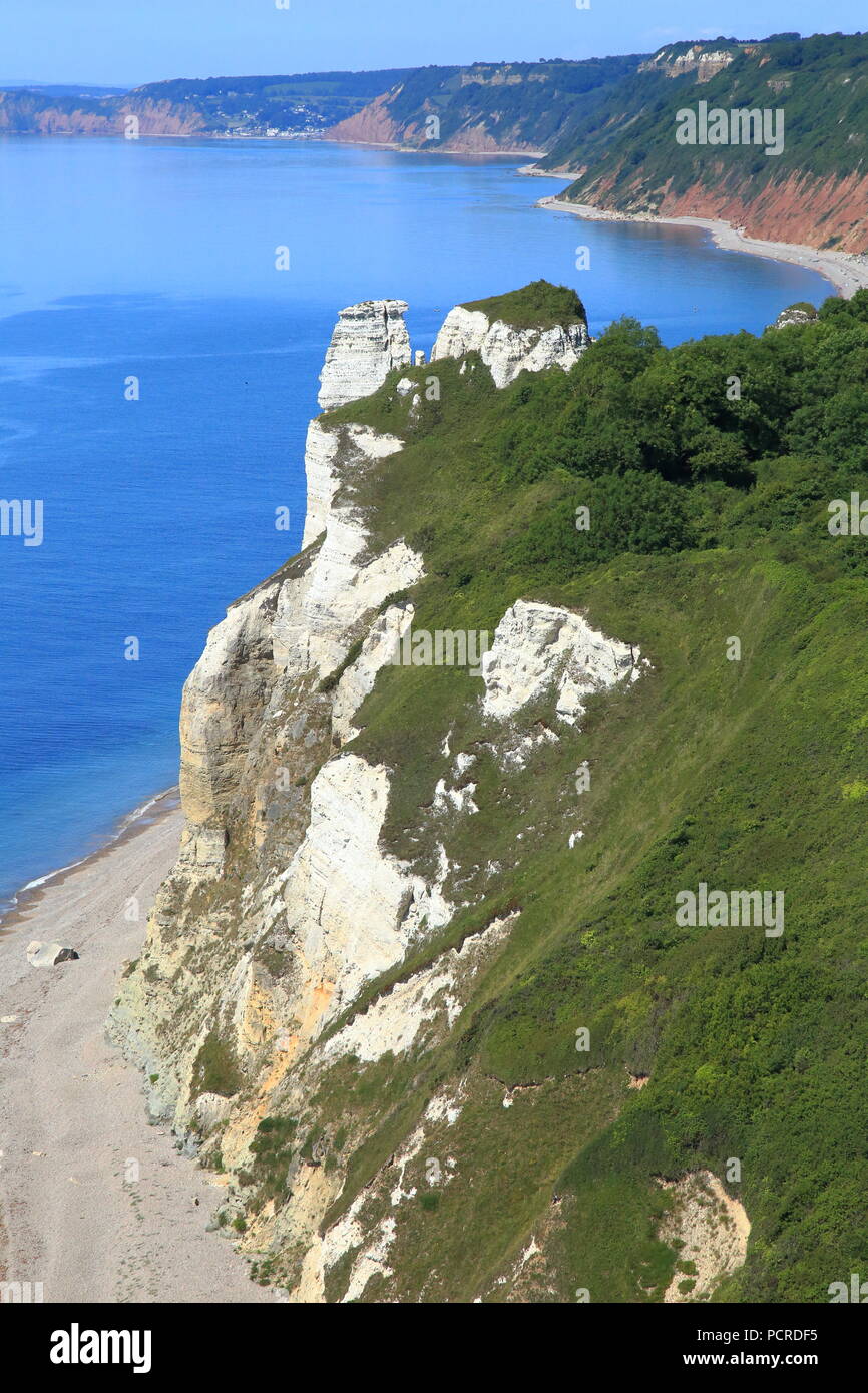 White cliffs in Hooken Landslip area near Branscombe in Devon on the Jurassic Coast Stock Photo