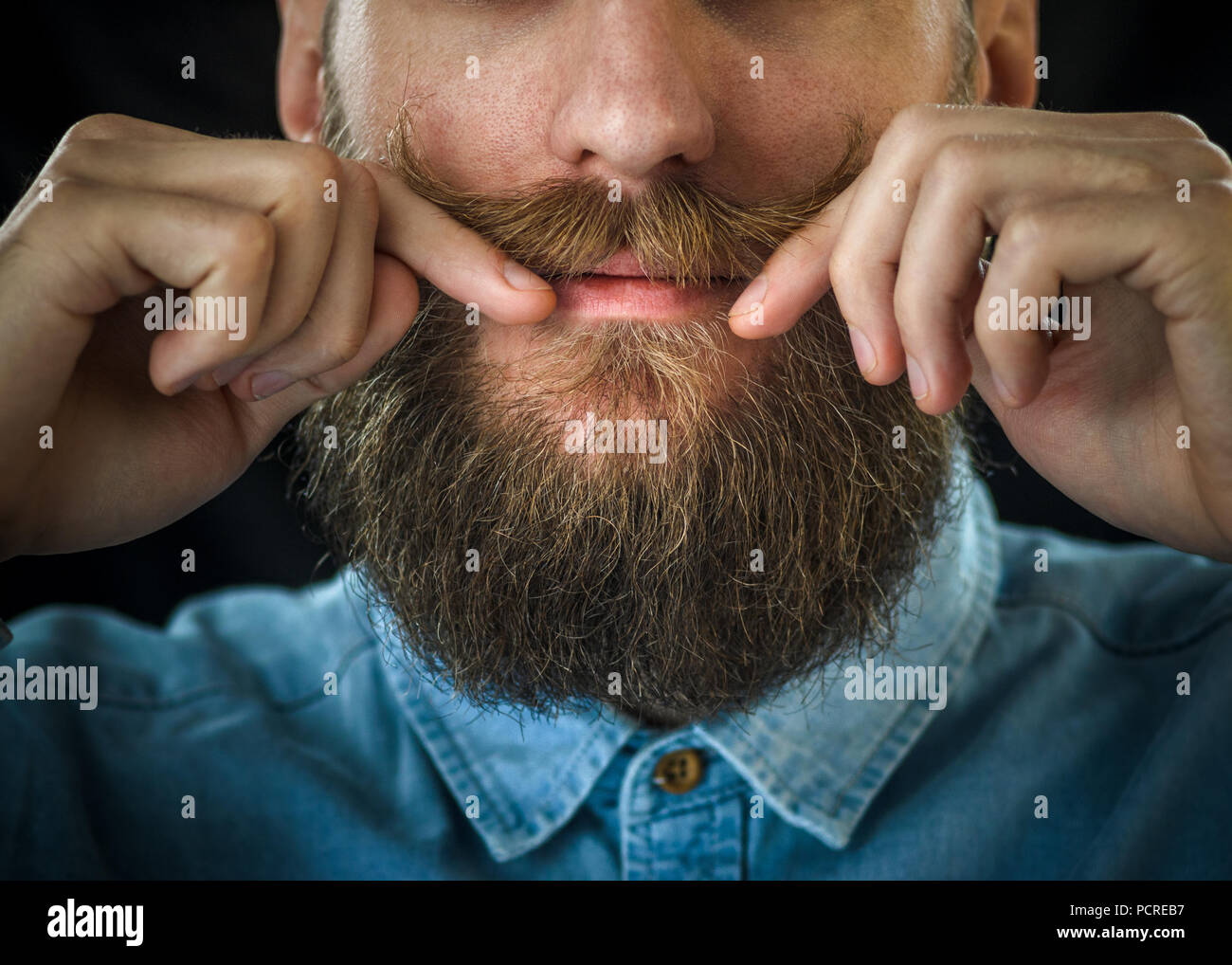 Bearded Man in a Blue Denim Shirt Twirling His Mustache with His Fingers. Portrait of a Hipster on Black Background Closeup Stock Photo
