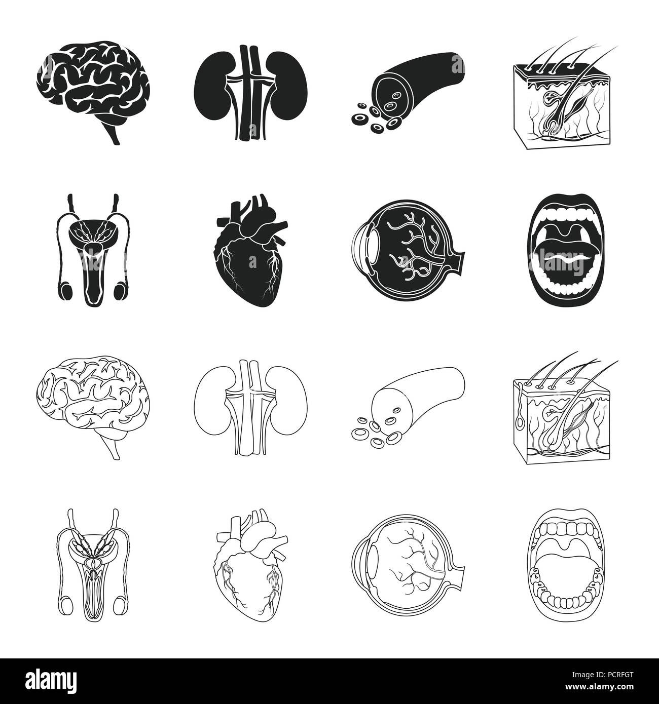 Male system, heart, eyeball, oral cavity. Organs set collection icons in black,outline style vector symbol stock illustration . Stock Vector