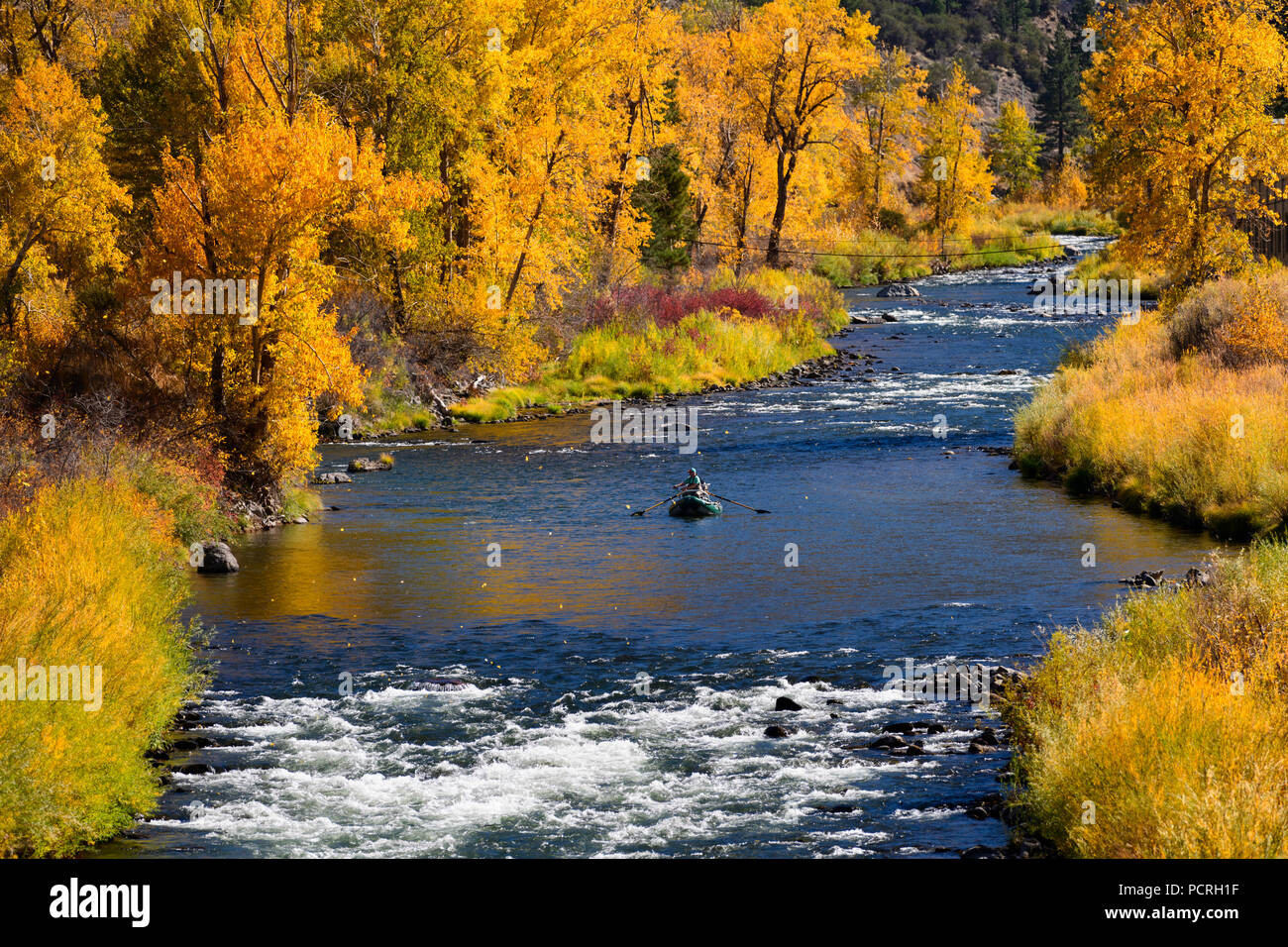 Fishing with Fall color along the Truckee River near Reno, Nevada 2018