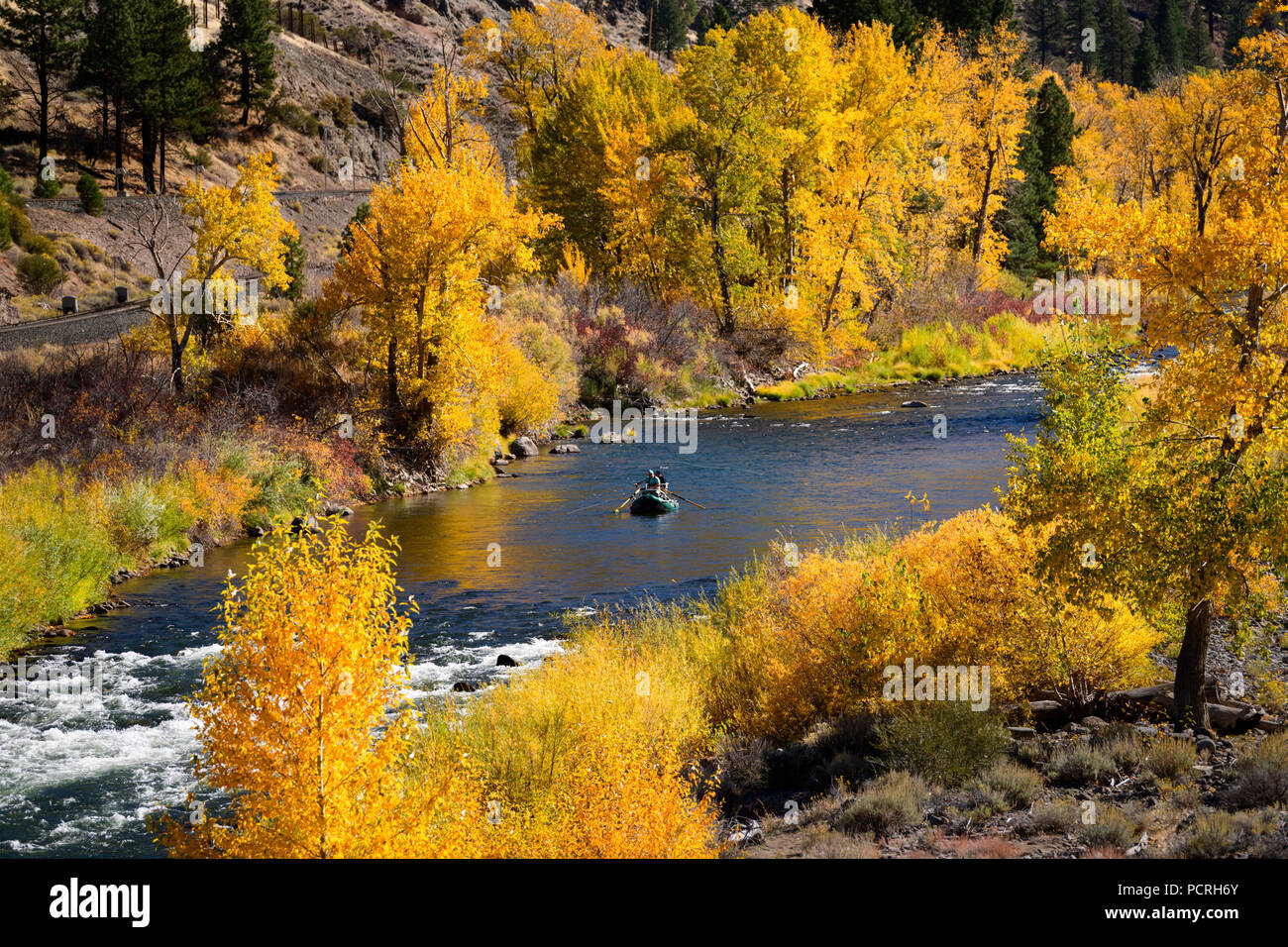 Fishing with Fall color along the Truckee River near Reno, Nevada 2018