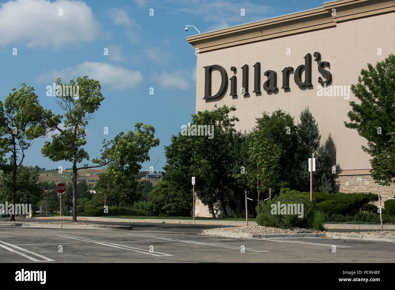 vestidos de tienda dillards