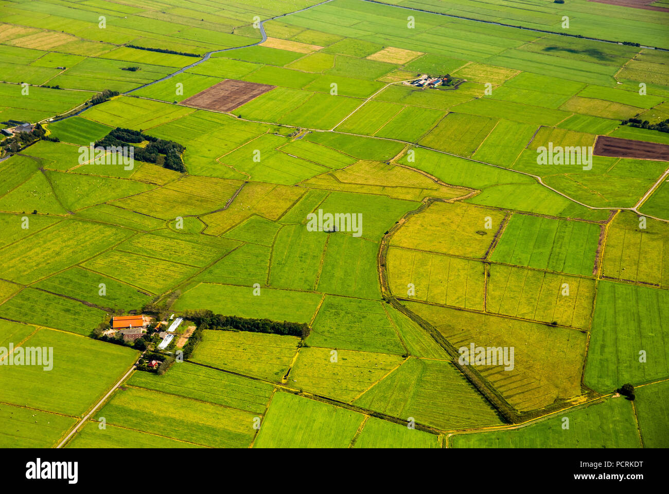 Aerial photo, fields, polder land, drainage ditches in the marshland, green landscape, Bunde municipal district within the East Frisian district of Leer, Lower Saxony, Germany Stock Photo