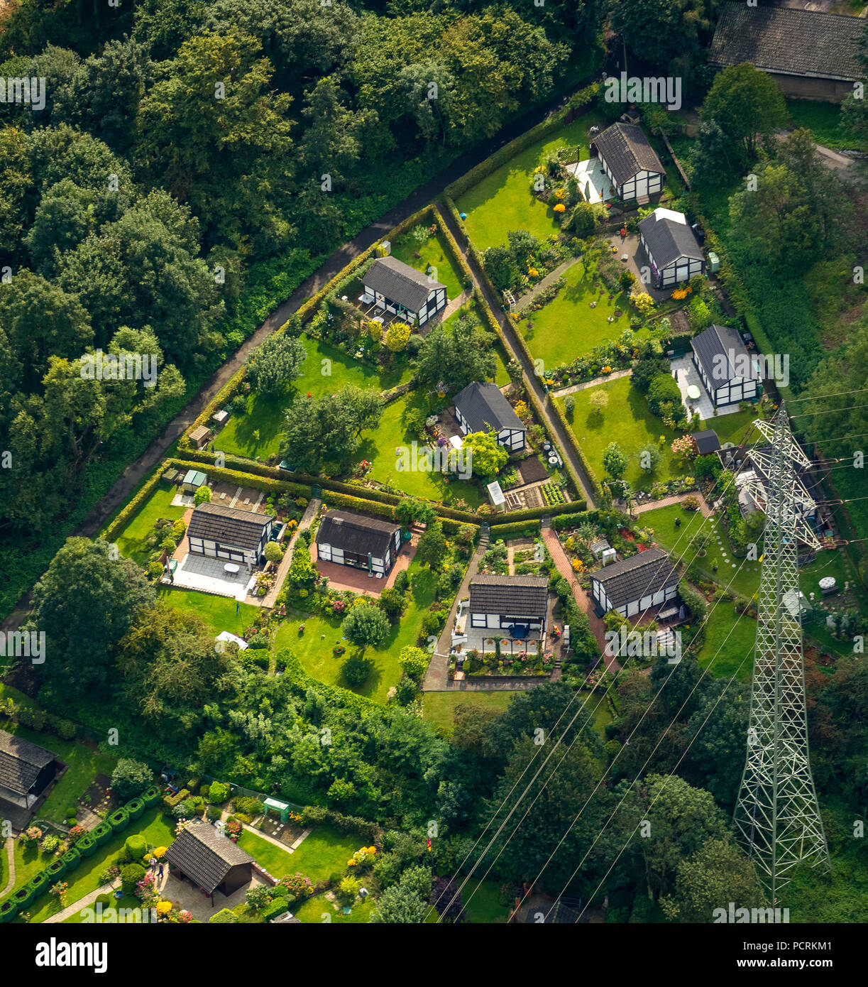Aerial photo, Reuenberg allotment garden, EssenGerschde, Fintrop with
