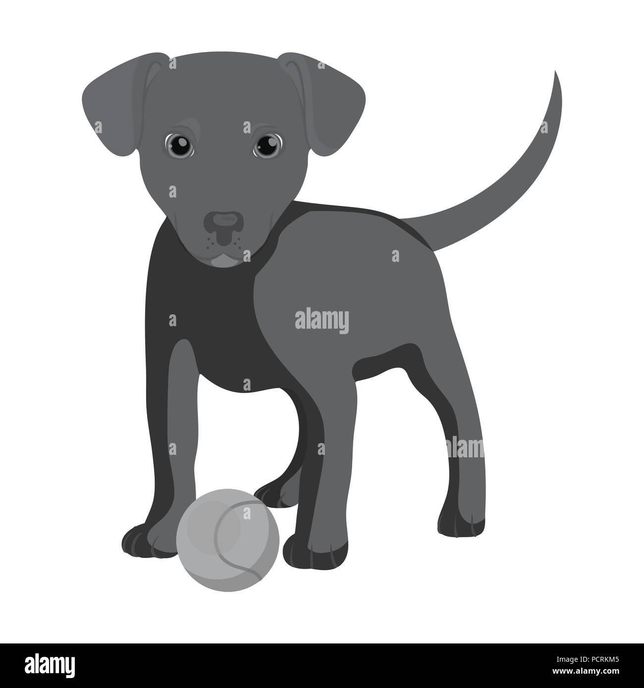 Pet, puppy dog with a ball. Pet,dog care single icon in monochromt ...