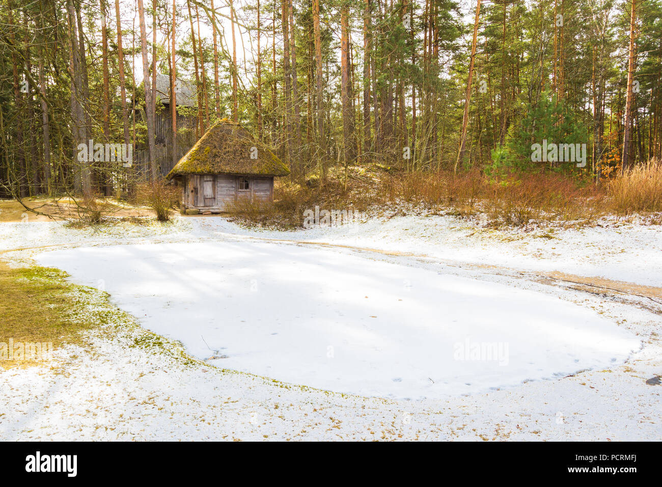House in the forest Stock Photo - Alamy