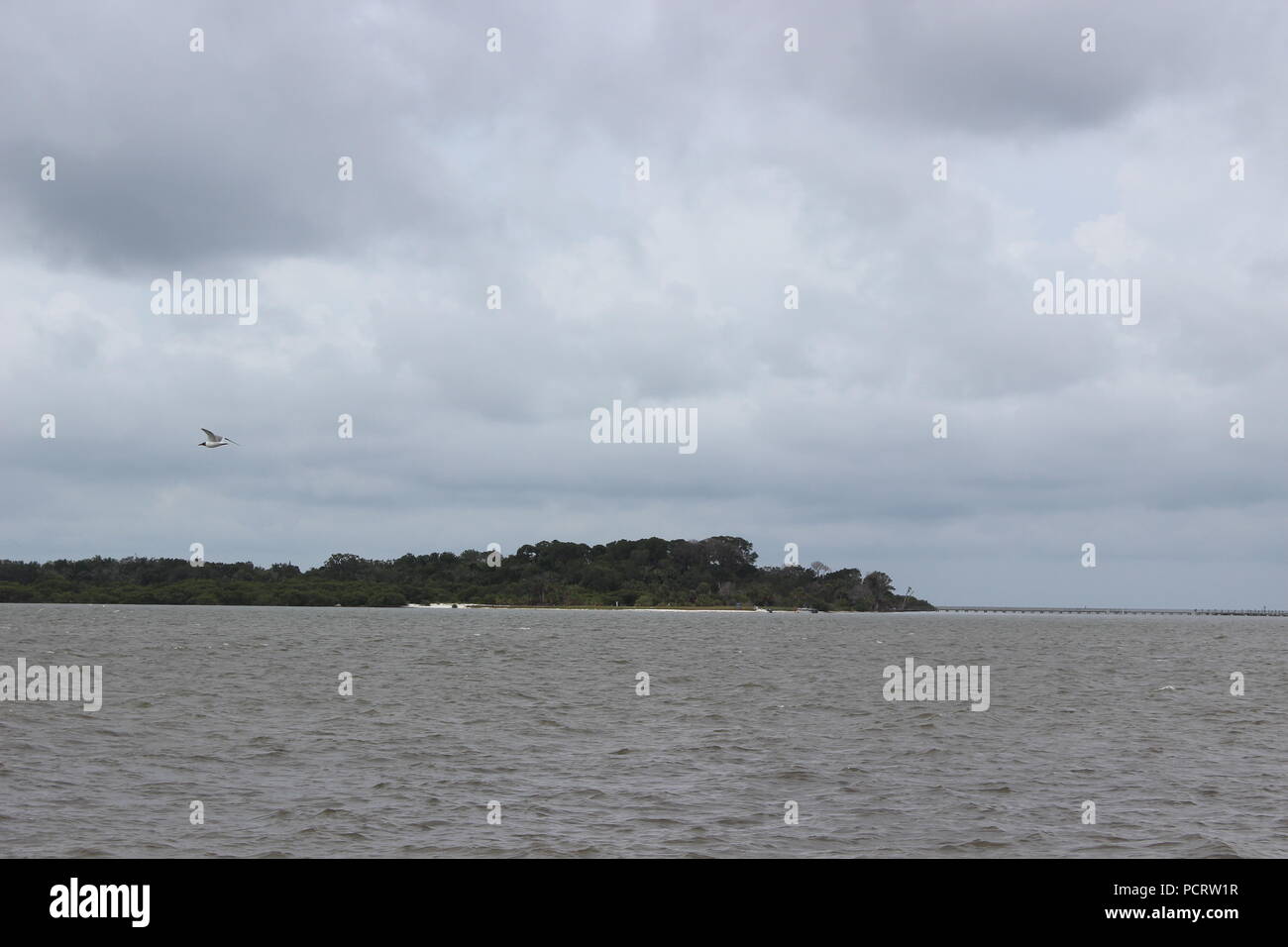 Island off Cedar Key, Florida, USA Stock Photo Alamy