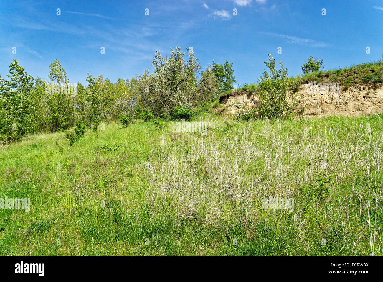 Nature at the geiseltalsee hi-res stock photography and images - Alamy
