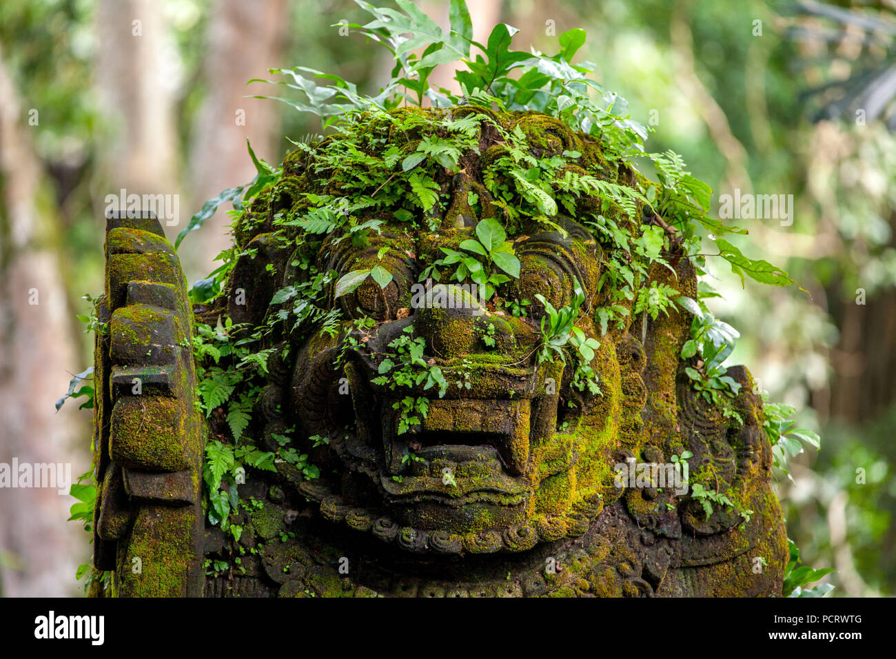 Demon's Head, at the entrance to the Monkey Forest Temple, Pura Dalem Agung Padangtegal Temple in the monkey forest of Ubud, head carved out of stone overgrown with green plants, Ubud, Bali, Indonesia, Asia Stock Photo