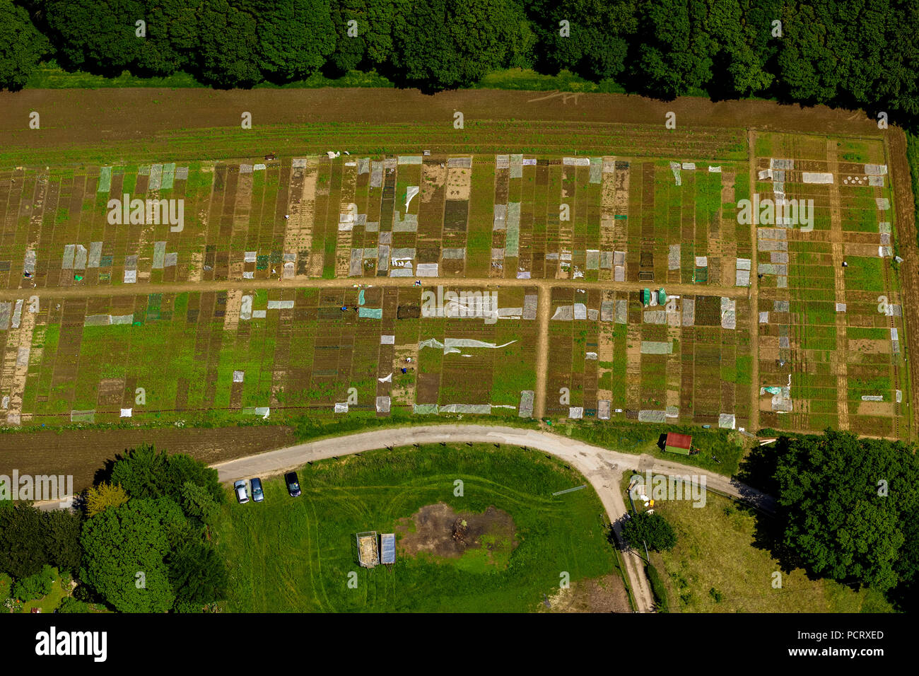 Vegetable gardens in Bochum-Harpen, area for gardening of Turkish immigrants, Bochum, Ruhr area, North Rhine-Westphalia, Germany Stock Photo