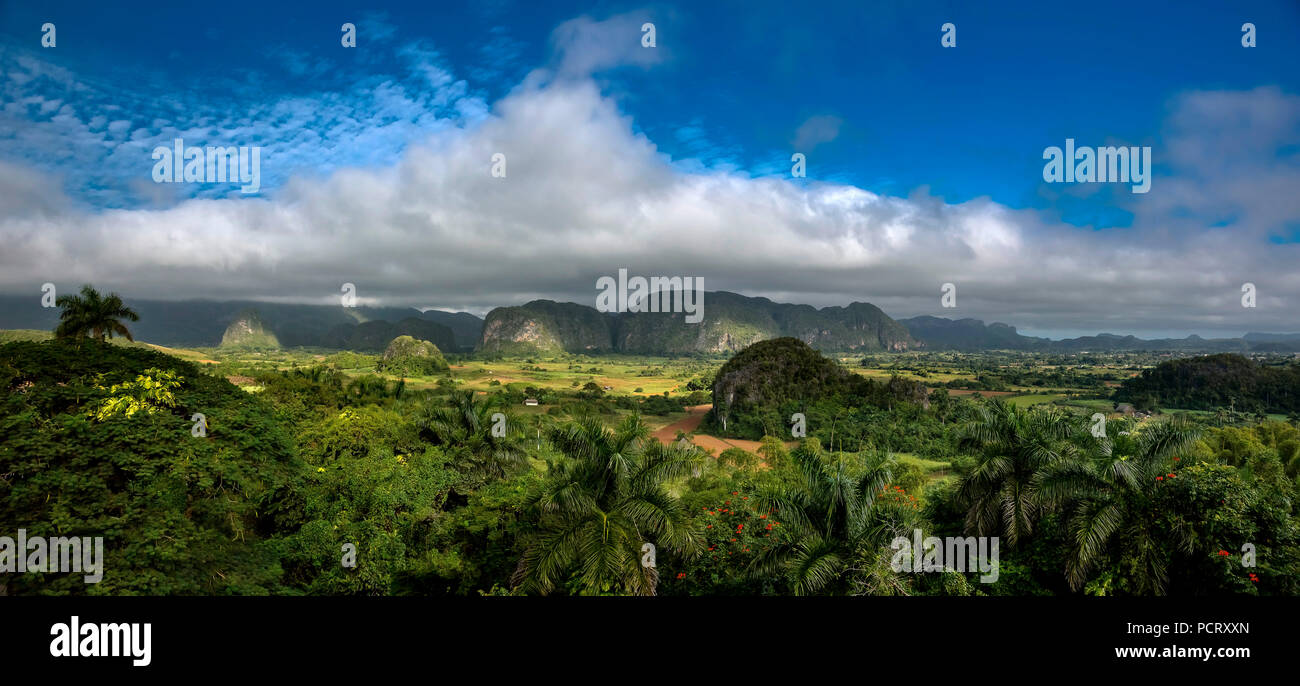 Tobacco fields and the mountains of the Mogotes, Viñales valley with karst mountains, Viñales, panorama, Pinar del Río province, Cuba, North America, Cuba Stock Photo
