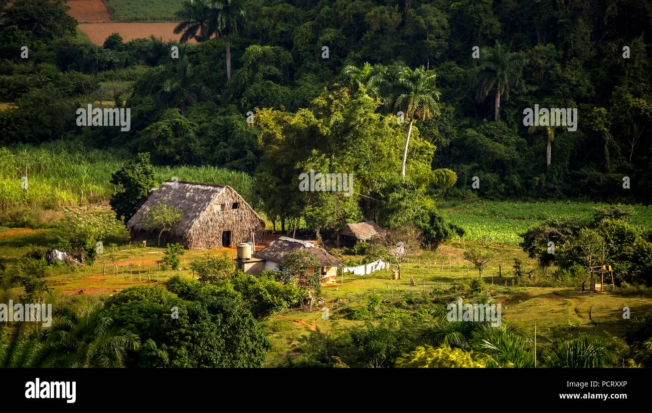 Farmhouse, farmer cottage, barn for drying tobacco leaves, tobacco fields and the mountains of the Mogotes, Viñales Valley with karst mountains, Viñales, Pinar del Río province, Cuba, North America, Cuba Stock Photo