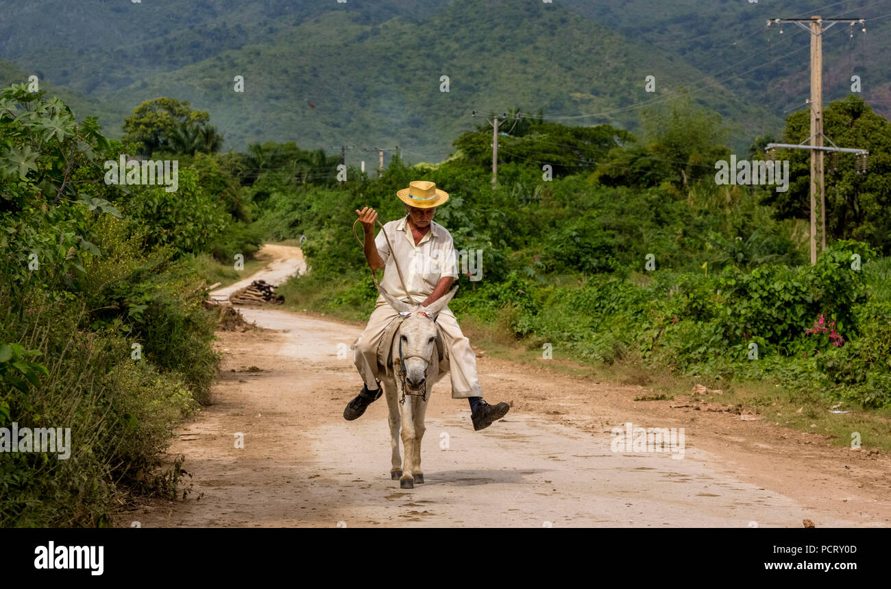 old Cuban farmer on a donkey mule with hat in the Valle de los Ingenios, Trinidad, Cuba, Sancti Spíritus, Cuba Stock Photo