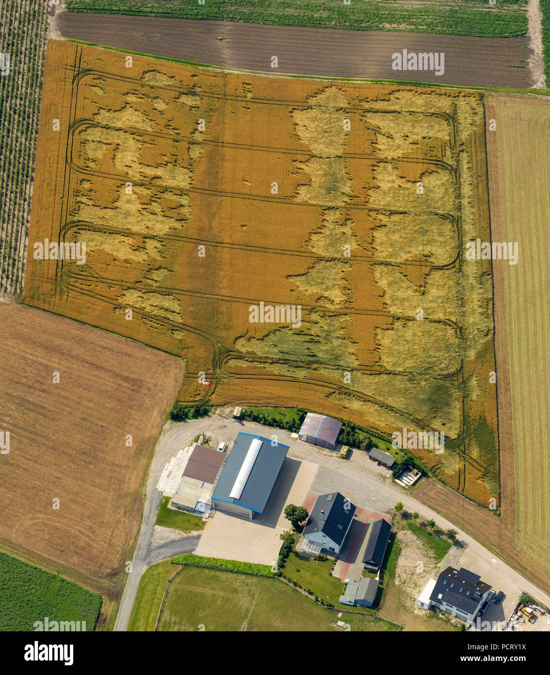 Aerial view, fields, field pattern, Datteln New Park, NewPark, Rieselfelder(biological research station), future commercial area on the city limits Datteln and Waltrop, Datteln, Ruhr area, North Rhine-Westphalia, Germany, Europe Stock Photo
