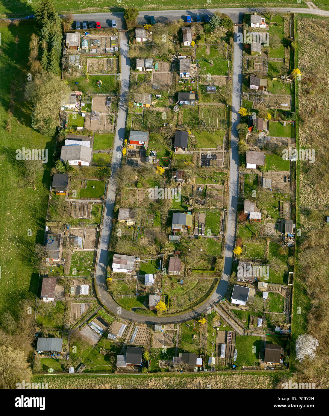Allotment garden site Leopold Zunz Straße, aerial photo of Detmold Stock Photo