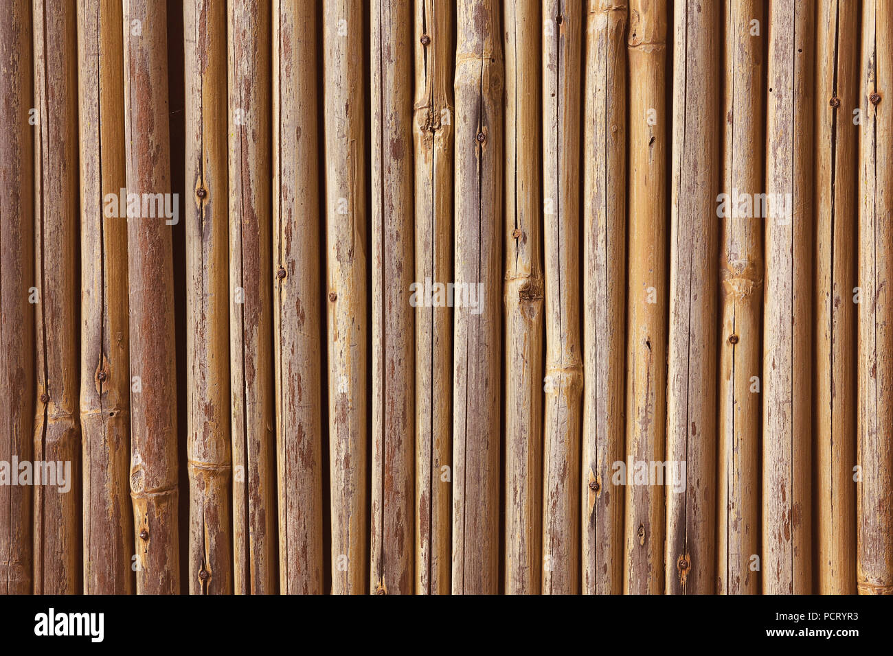 Close up rows of golden brown, bamboo fence Stock Photo