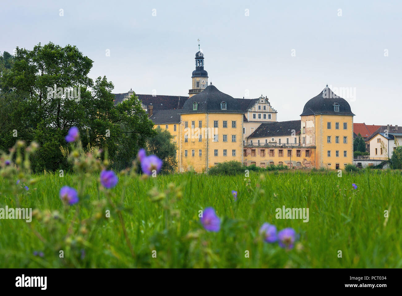 jobangebote coswig anhalt