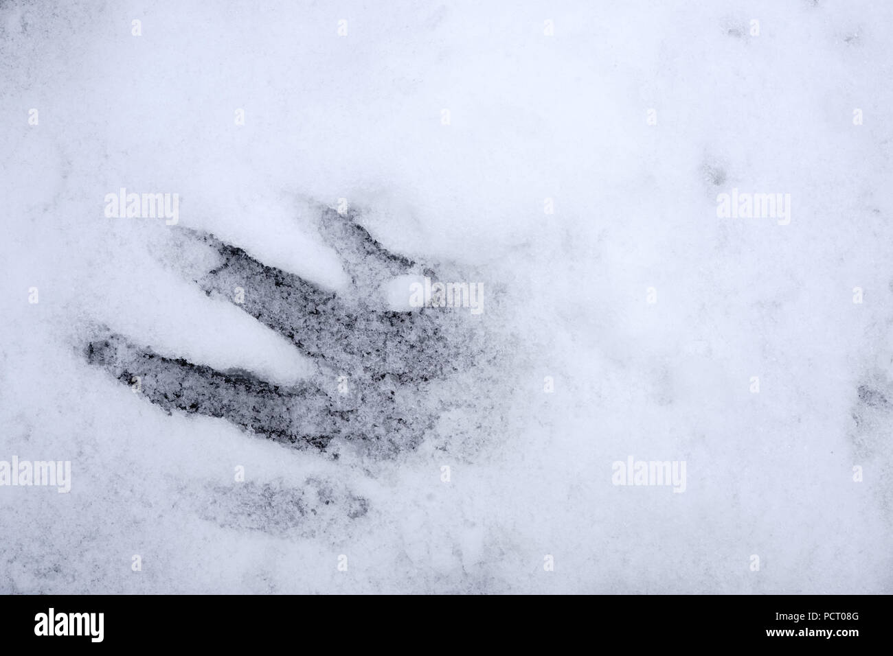 Top view and close-up on a handprint in a dusting of snow Stock Photo