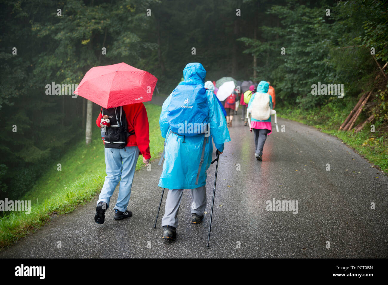 Austria, Alpbach valley, hiking group in rainy weather Stock Photo Alamy