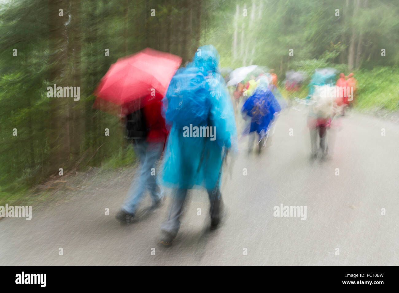 Austria, Alpbach valley, hiking group in rainy weather. Stock Photo