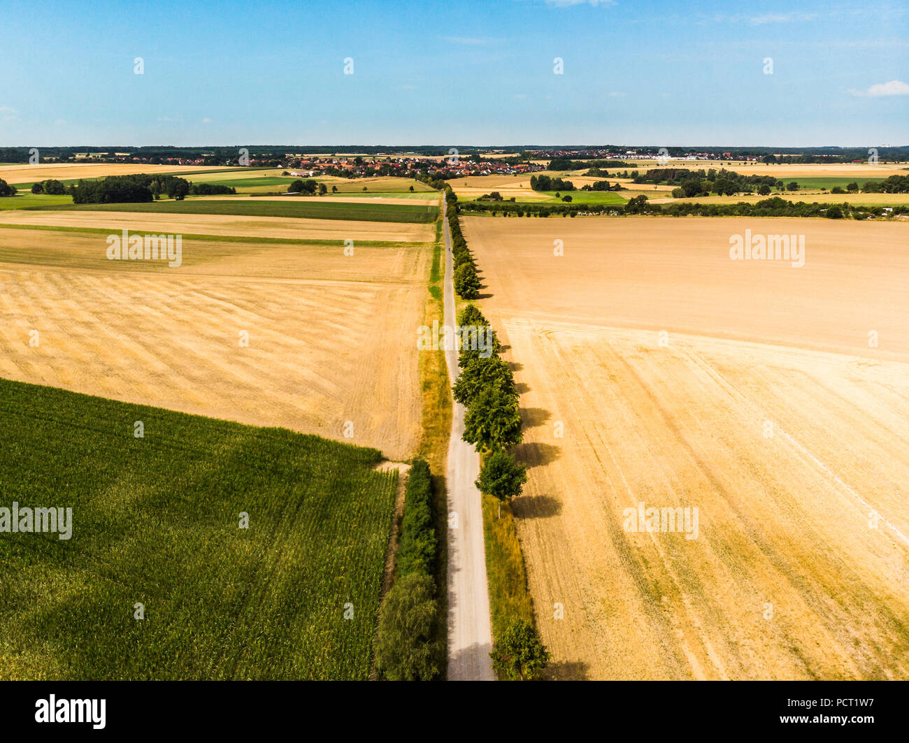Aerial view from a straight dirt road, which is designed as an avenue with a row of trees, to a village on the horizon. Stock Photo