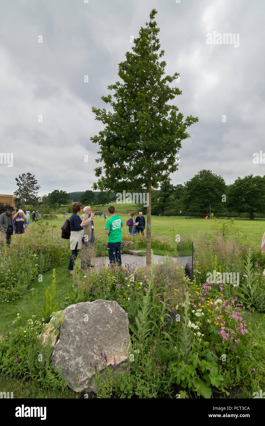 People view central feature tree, paved area & flowers in beautiful show garden,  - Macmillan Legacy Garden, RHS Chatsworth Flower Show, England, UK. Stock Photo