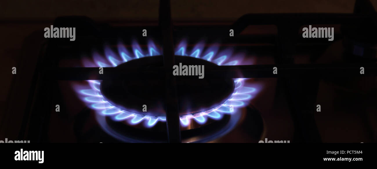 Blue-red flame on the gas cooker photo Stock Photo