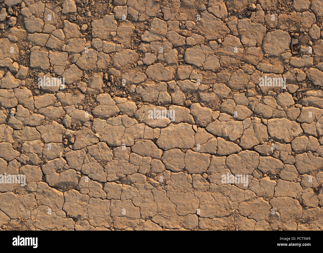 Desert crust soil closeup background photo Stock Photo