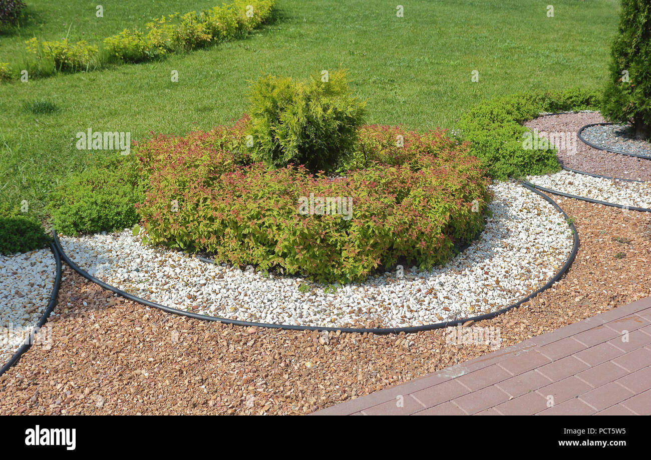 Round flowerbed on the green lawn photo Stock Photo