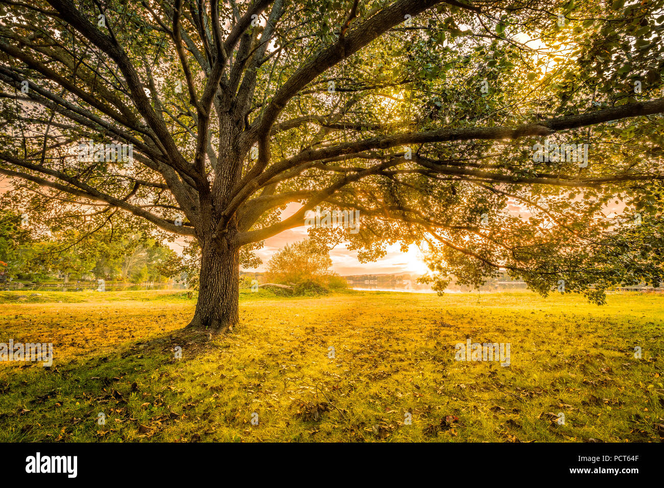 Autumn sunset in Parsippany, New Jersey Stock Photo