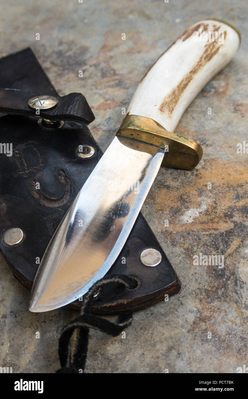 Still Life of Handcrafted Hunting Knife, USA Stock Photo