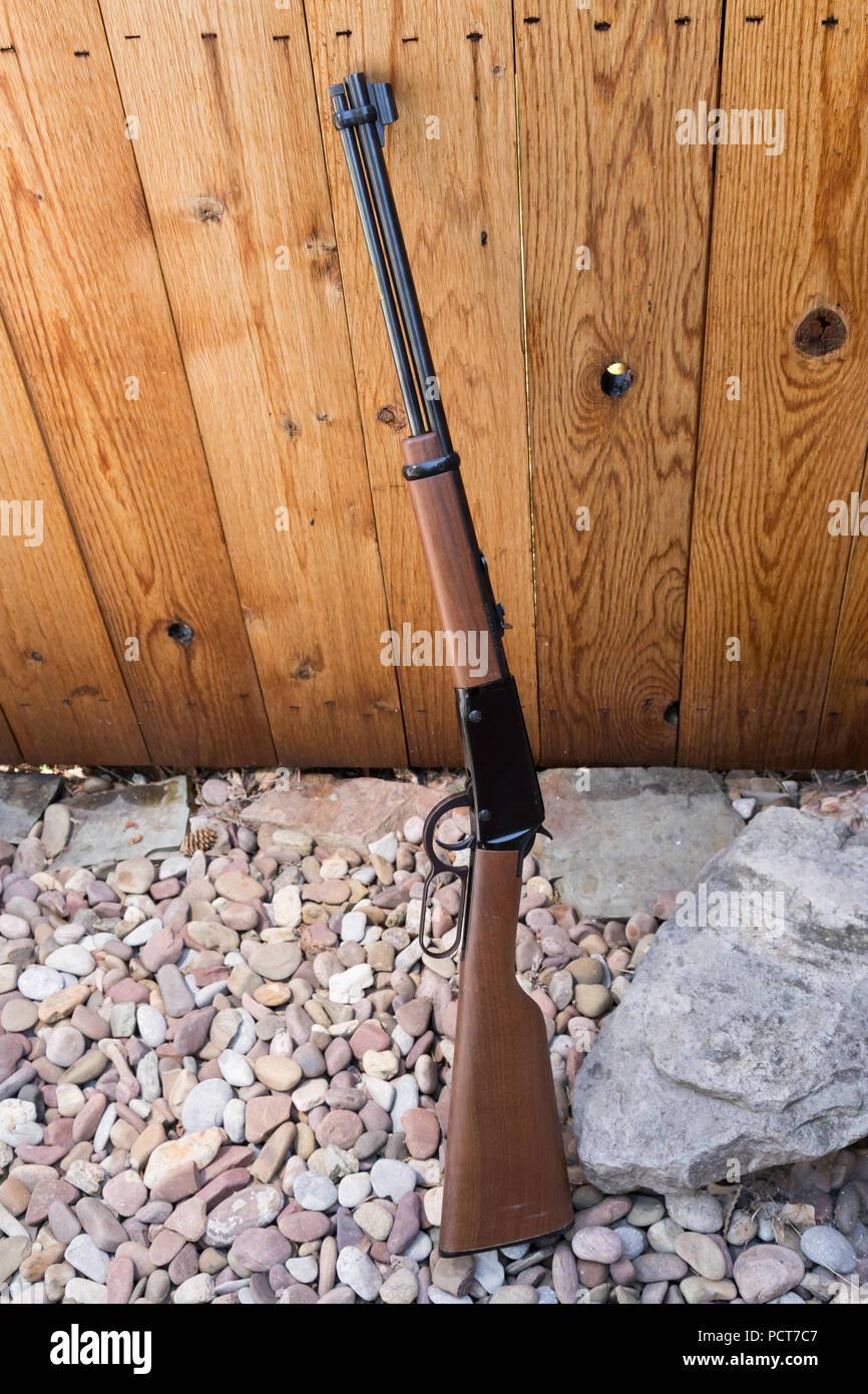 Lever-action rifle leaning against a wooden fence, USA Stock Photo